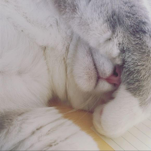 Meet your Posher, Jerusha - Picture 2 of 4